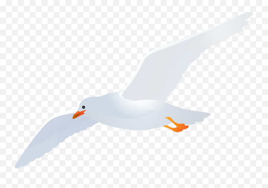 Seagull Clipart Png - Transparent Seagull Clipart Emoji,Seagull Emoji