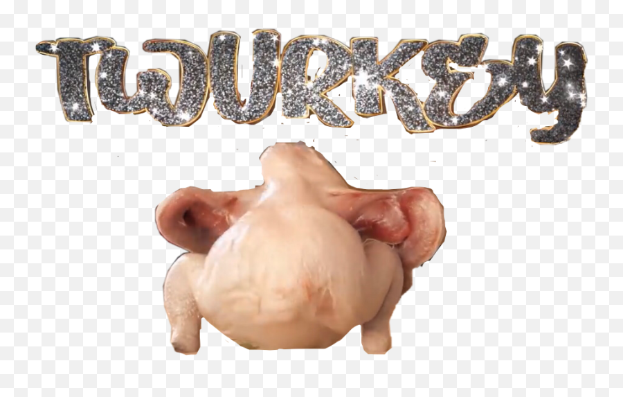 Turkey Twurkey Lol Funny Thanksgiving - Domestic Pig Emoji,Funny Thanksgiving Emoji