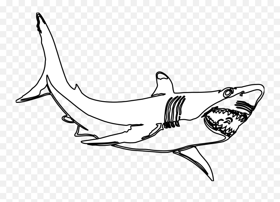 Drawing Shark Dogfish Transparent U0026 Png Clipart Free - Clipart Black And White Shark Emoji,Shark Fin Emoji