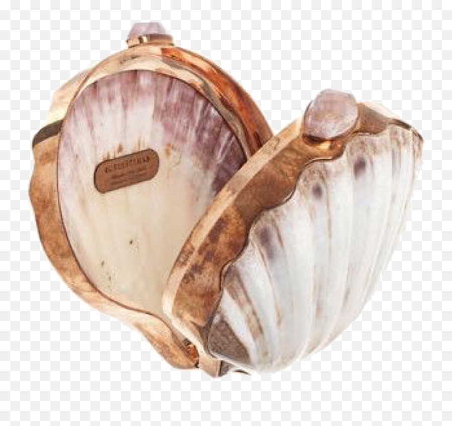 Pngs For Moodboards U2014 Pngs Shell Purse Shells Beautiful Bags - Serveware Emoji,Seashell Emoji