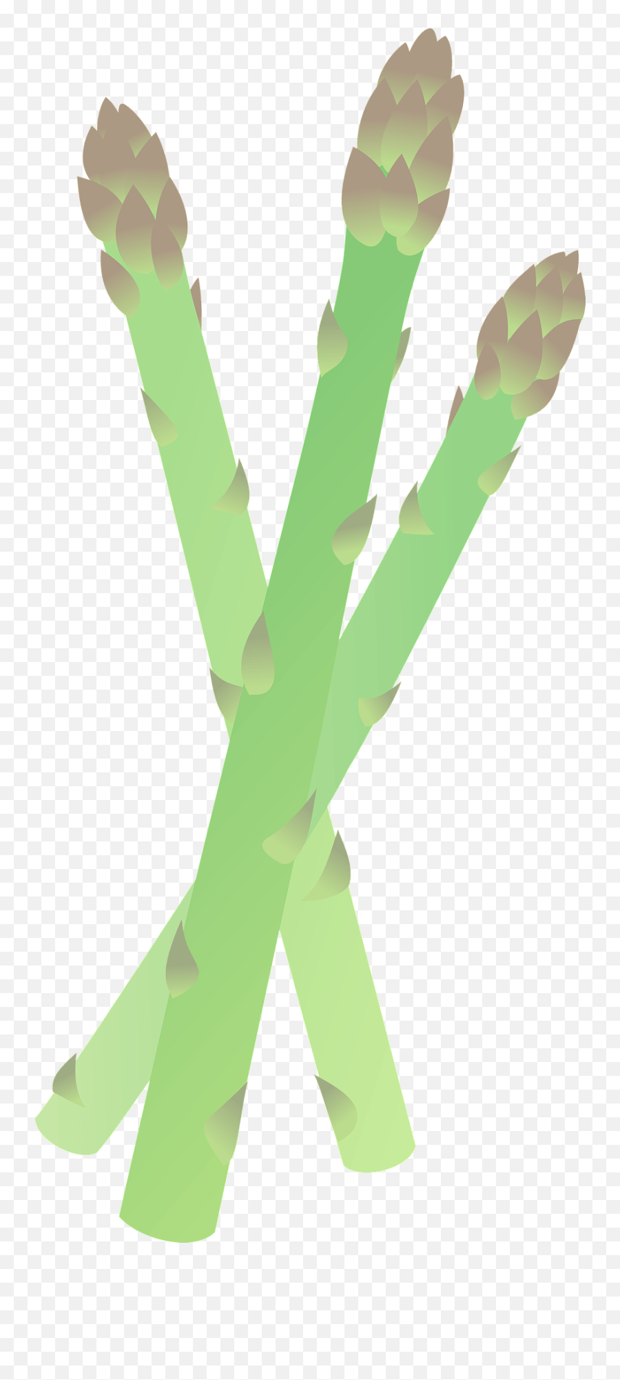 Asparagus Stalks Clipart - Garden Asparagus Emoji,Asparagus Emoji