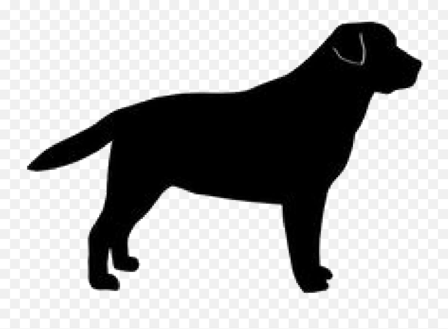 Labrador Retriever Golden Retriever Dog - Black Dog Logo Png Emoji,Black Lab Emoji
