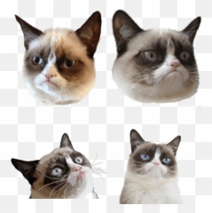 Grumpy Cat - Png Emoji