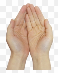 Praying Hands Png - Transparent Pray Hand Png Emoji,Praising Hands Emoji
