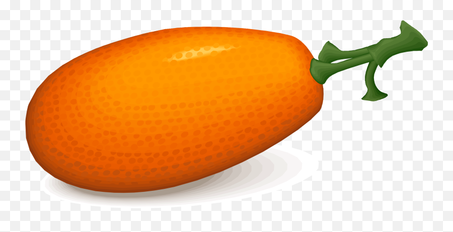 Orange Persimmons Vector Clipart Image - Vegetarian Cuisine Emoji,Starry Night Emoji