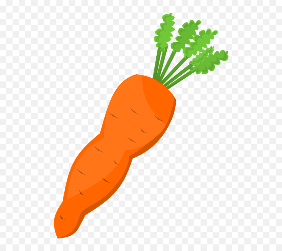 Carrot Food Greens - Carrot Clipart Png Emoji,Carrot Emoji