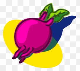 Vector Illustration Of Red Beet Beetroot Or Taproot Clipart - Art Emoji