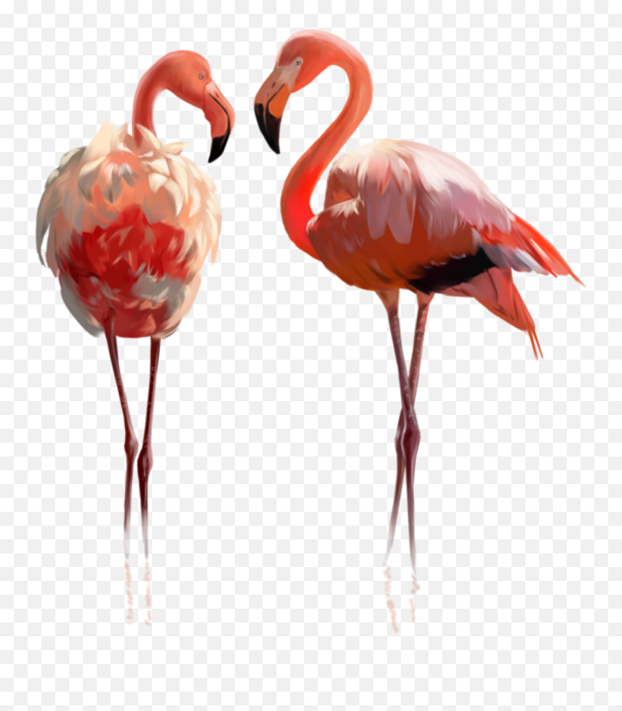 The Most Edited - Realistic Flamingo Clip Art Emoji,Flamingo Emoji
