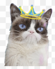 Grumpy Cat - Hiss Meme Emoji
