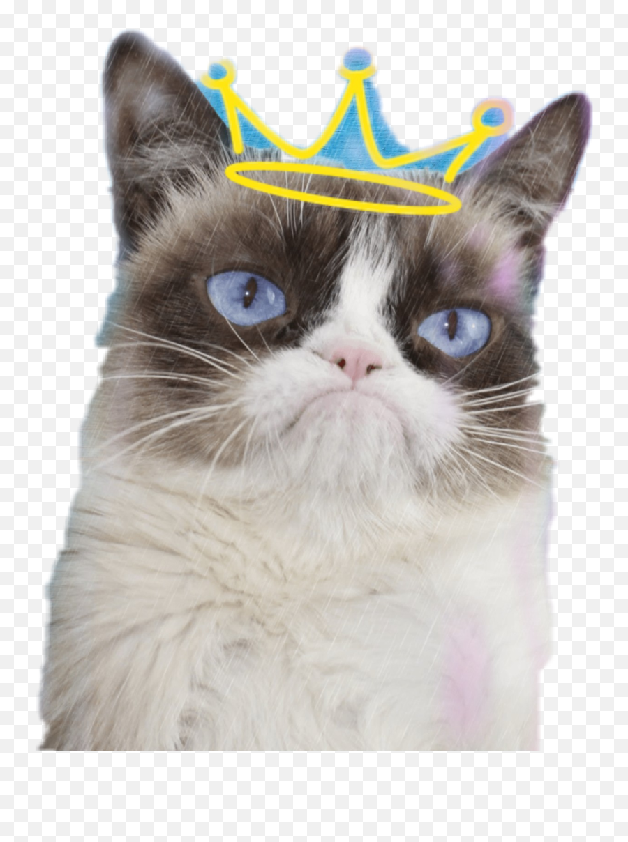 Grumpy Cat - Grumpy Cat Hiss Meme Emoji,Grumpy Cat Emoji