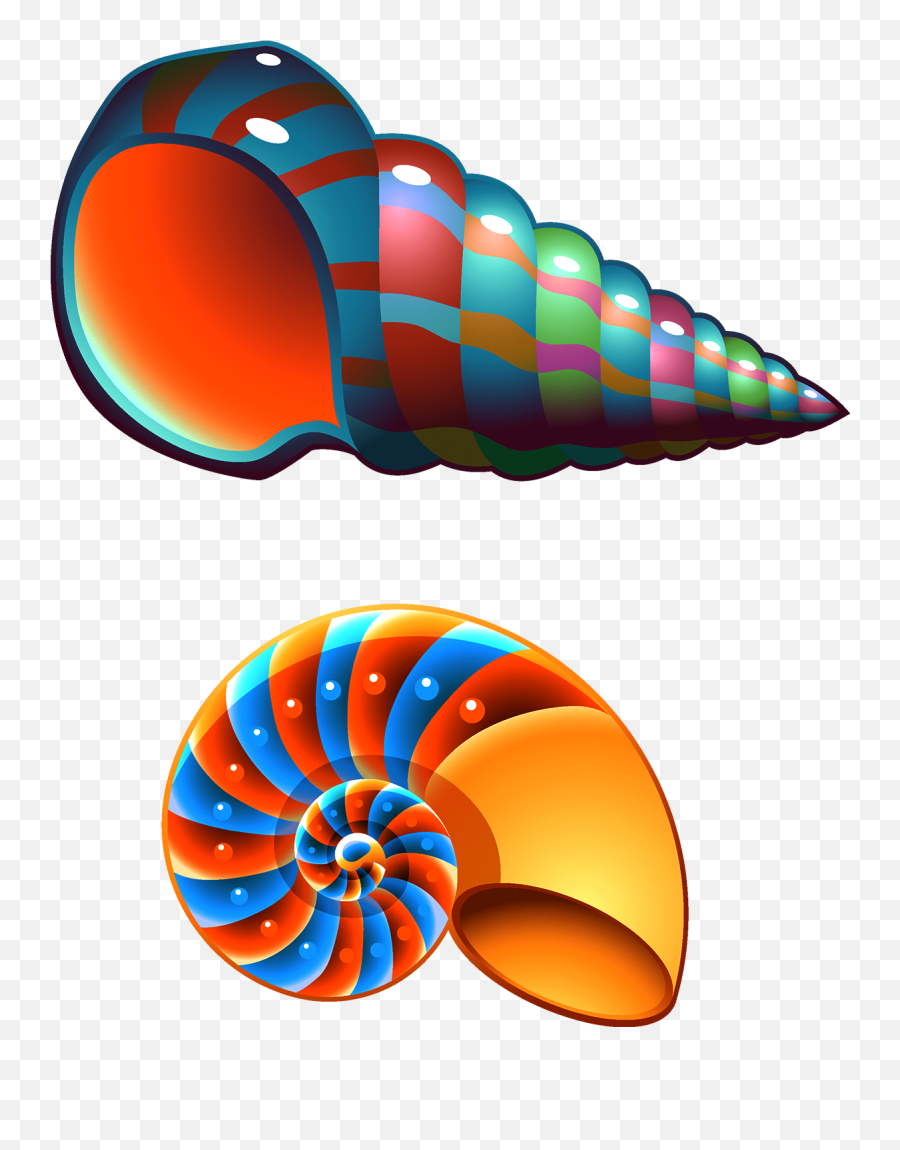 Shell Clipart Shell Spiral Picture 2027911 Shell Clipart - Colorful Shell Clipart Png Emoji,Seashell Emoji