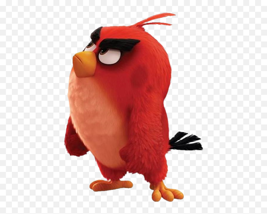 Download Hd Angry Birds Images Red Wallpaper And Background - Red Angry Birds Png Emoji,Red Angry Emoji