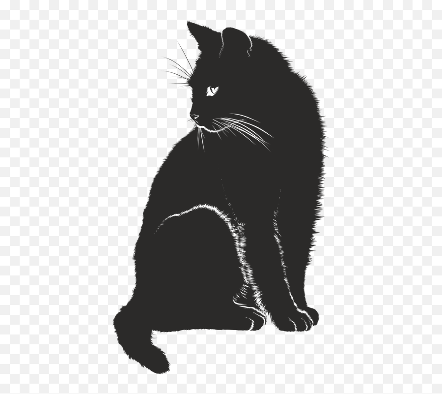 2 Free Black Cat Cat Images - Black Cat Vector Png Emoji,Merry Christmas Emoji Copy And Paste