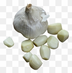 Garlic Garlic Clove Transparent Png - Garlic Png Emoji,Garlic Emoji