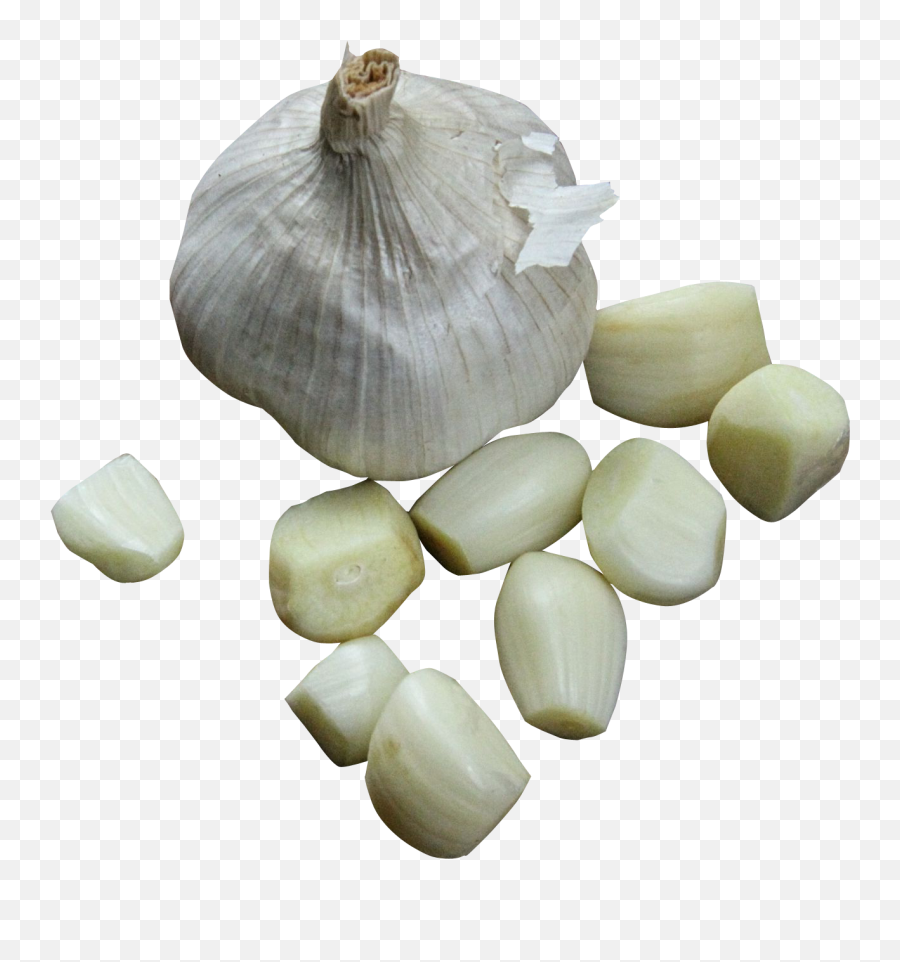 Garlic Garlic Clove Transparent Png - Garlic Png Emoji,Garlic Emoji