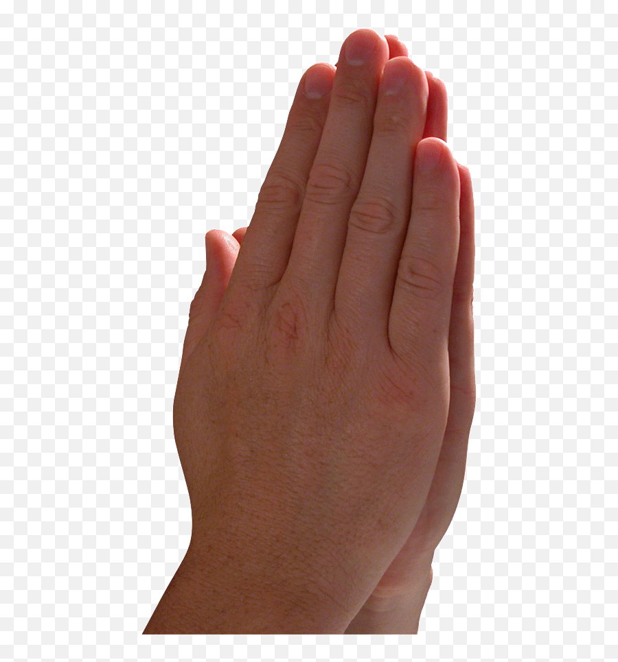 Skin Clipart Child Hand Skin Child Hand Transparent Free - Prayer Hand Of Worship Emoji,Brown Praying Hands Emoji
