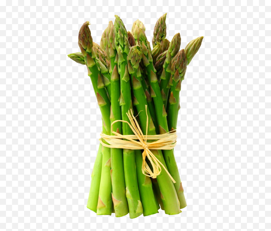 Asparagus Transparent Background Png - Asparagus Png Emoji,Asparagus Emoji