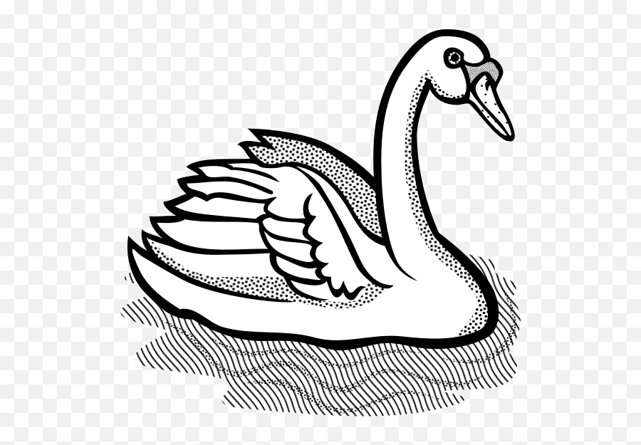 Swan With Part Spotty Feathers In Water - Swan Clipart Png Emoji,Car Swimming Emoji