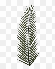 Palm Leaves - Tree Leaf Texture Clipart Full Size Transparent Emoji