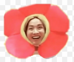Hoseok Png - Bts Horse Hope Flower Powerfreetoedit Png Bts Jhope Sunflower Emoji,Bts Emoji