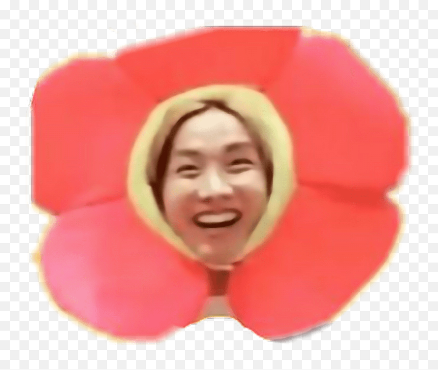 Hoseok Png - Bts Horse Hope Flower Powerfreetoedit Png Bts Jhope Sunflower Emoji,Bts Emoji