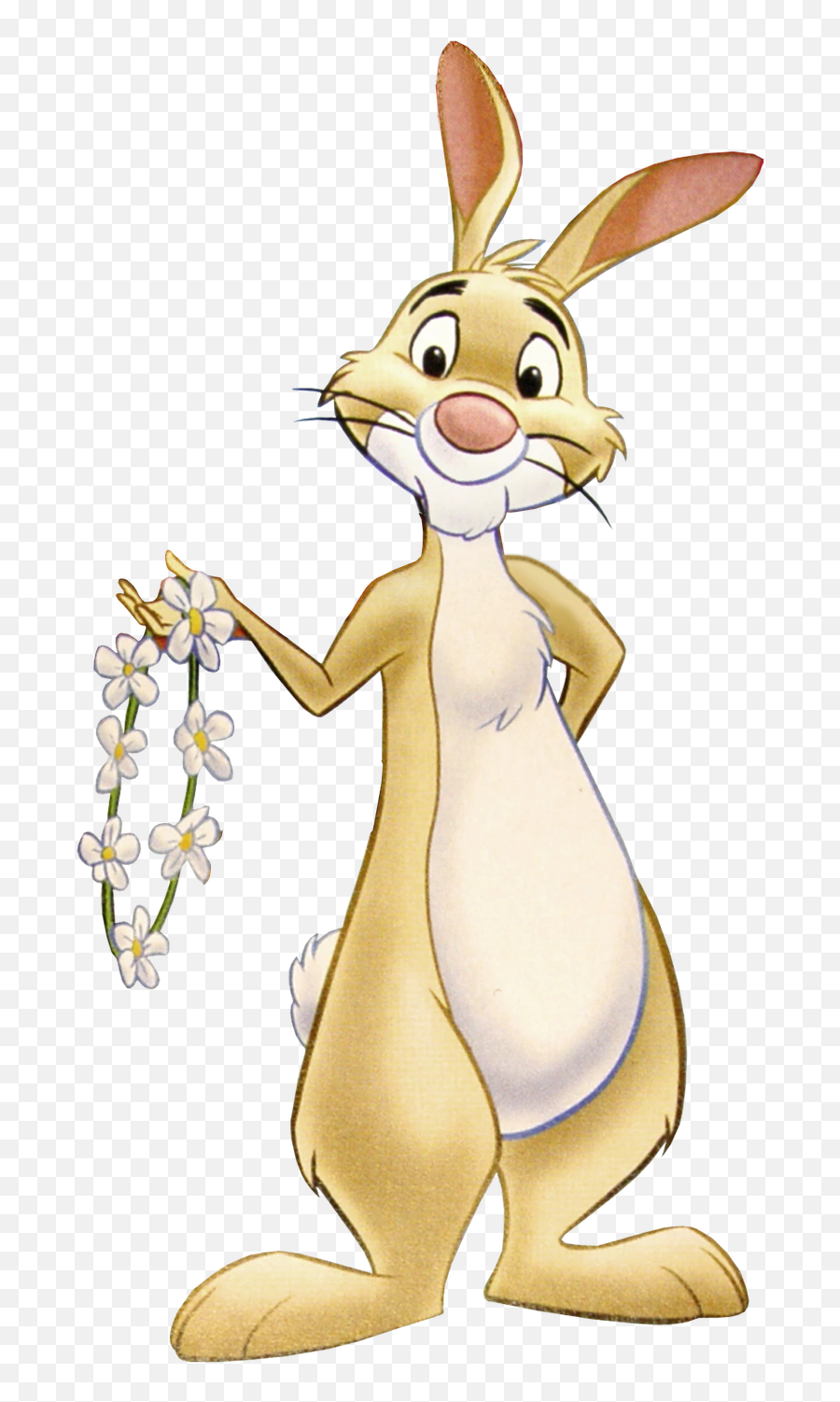 Rabbit Winnie The Pooh Disney Fanon Wiki Fandom - Winnie The Pooh Conejo Emoji,Raises Hand Emoji