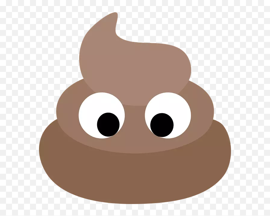 Girl Wanted A Poop Emoji Birthday Party Her Parents Came - Poop Png,Bull Emoji
