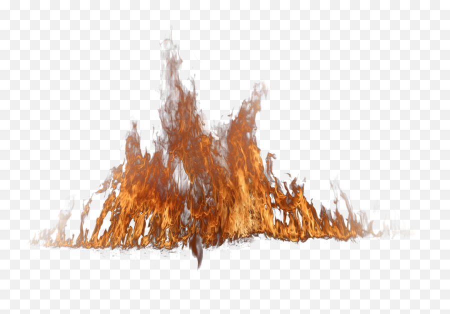 Download New Fire Png By Me - Tree On Fire Transparent Emoji,New Fire Emoji