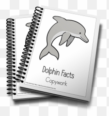 Dolphin Color And Copywork Homeschool - Two Notebooks Emoji