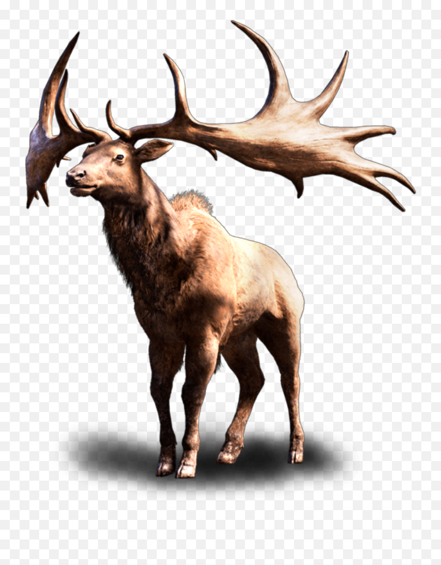 Ftestickers Deer Elk Wildlife - Irish Elk White Background Emoji,Elk Emoji