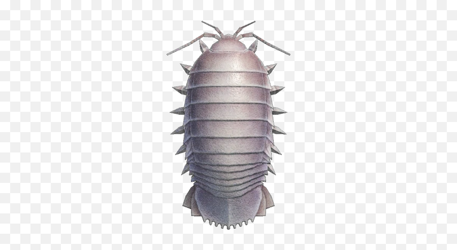 Giant Isopod Animal Crossing Wiki Fandom Emoji,Cockroach Emoji