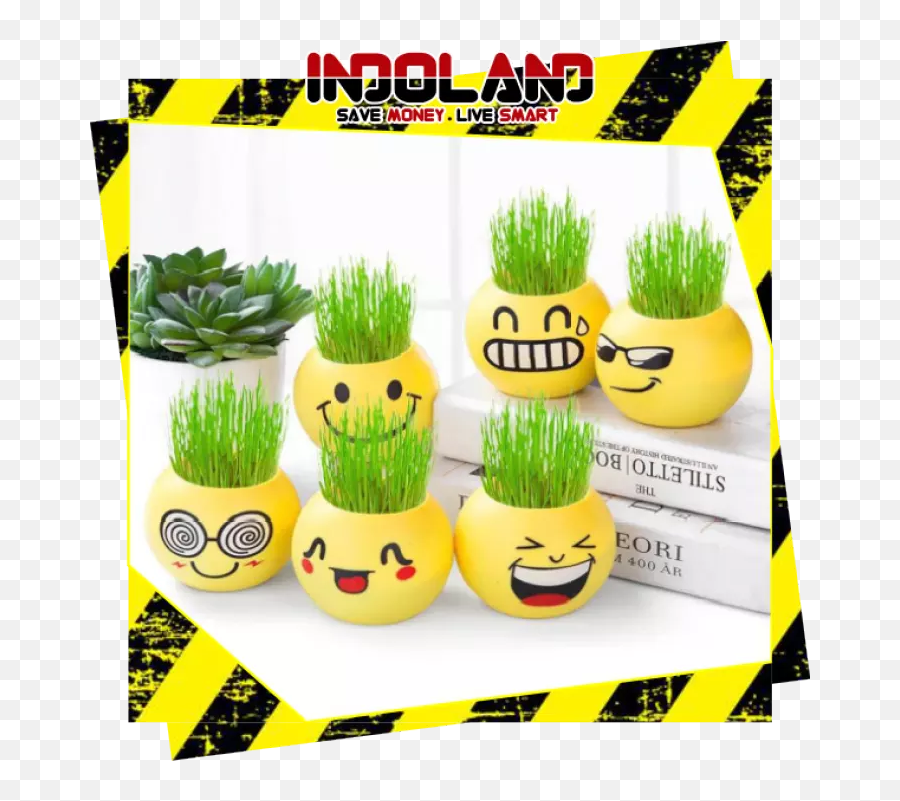 Free Benih Rumput Kucing Pot Bunga Lucu - Hiasan Buat Pot Bunga Emoji,Pot Emoticon