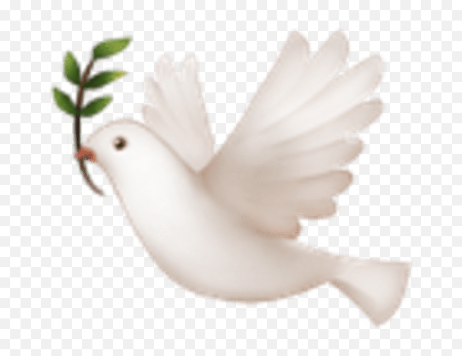 A Dove For When You Want To Make Peace - Emoji,Dove Emoji Png