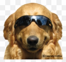 Cool Png And Vectors For Free Download - Closing Time Funny Emoji