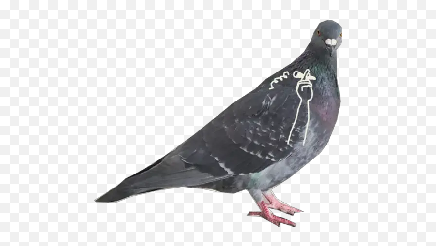 Dove With Hands Stickers For Whatsapp - Pigeon Stickers Emoji,Dove Emoji