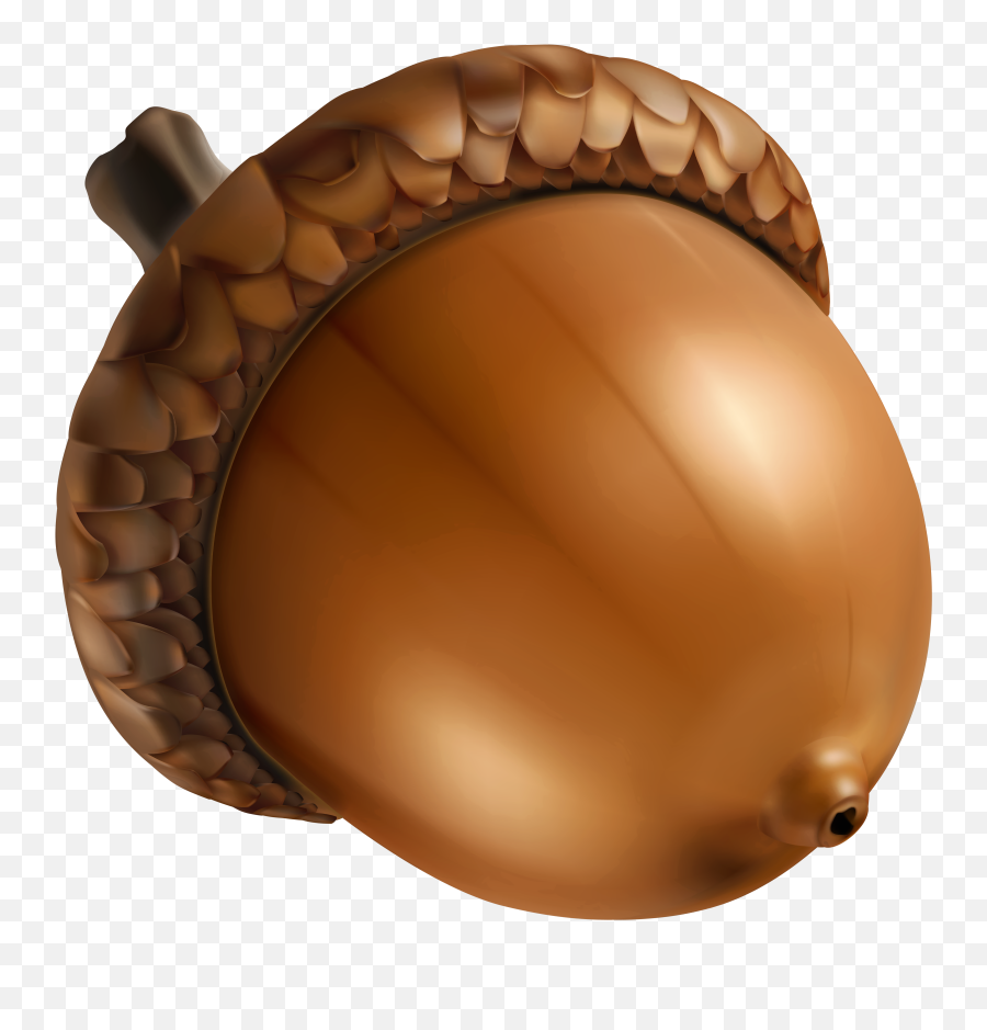 Acorn Clipart Transparent - Thanksgiving Png Acorn Emoji,Acorn Emoji