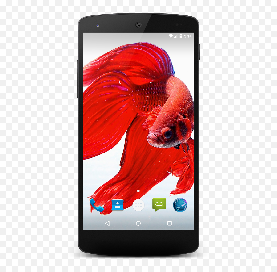 Betta Fish Wallpapers 13 Download Apk For Android - Aptoide Android Emoji,Khmer Flag Emoji