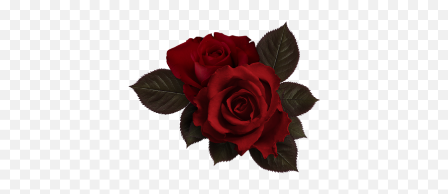Red Rose Aesthetic Transparent - Rose Flower38 Emoji,Red Flower Emoji