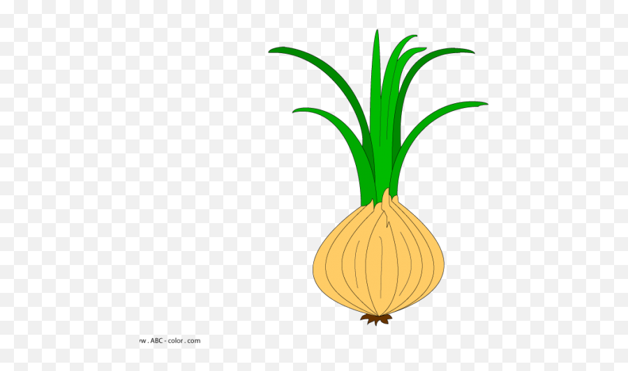 25 Onion Clipart Lettuce Free Clip Art Stock Illustrations - Onion With Roots Clipart Emoji,Onion Emoji