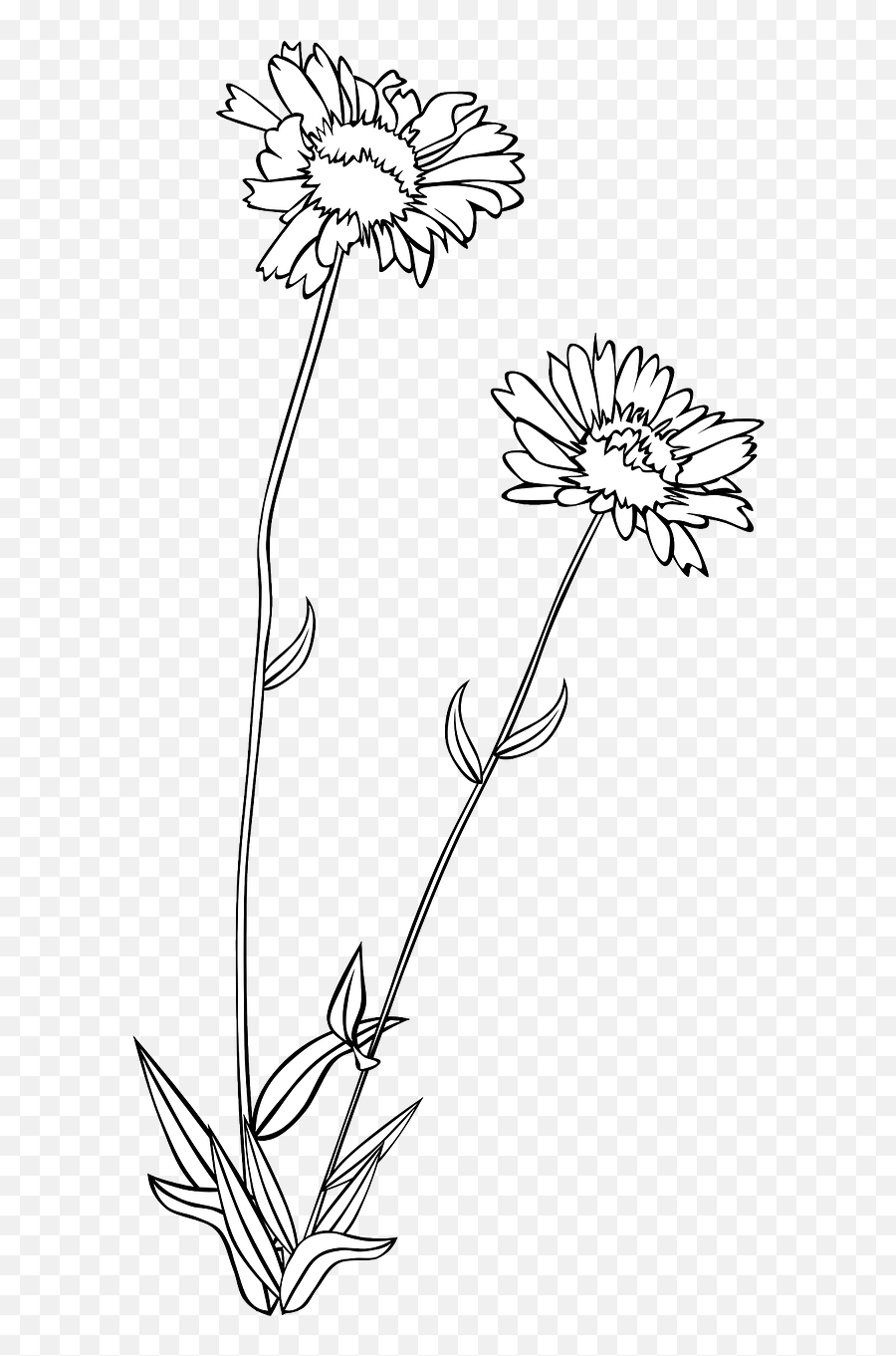 Library Of Wild Flower Image Black And White Download Black - Flower Drawing Png Transparent Emoji,Black And White Flower Emoji