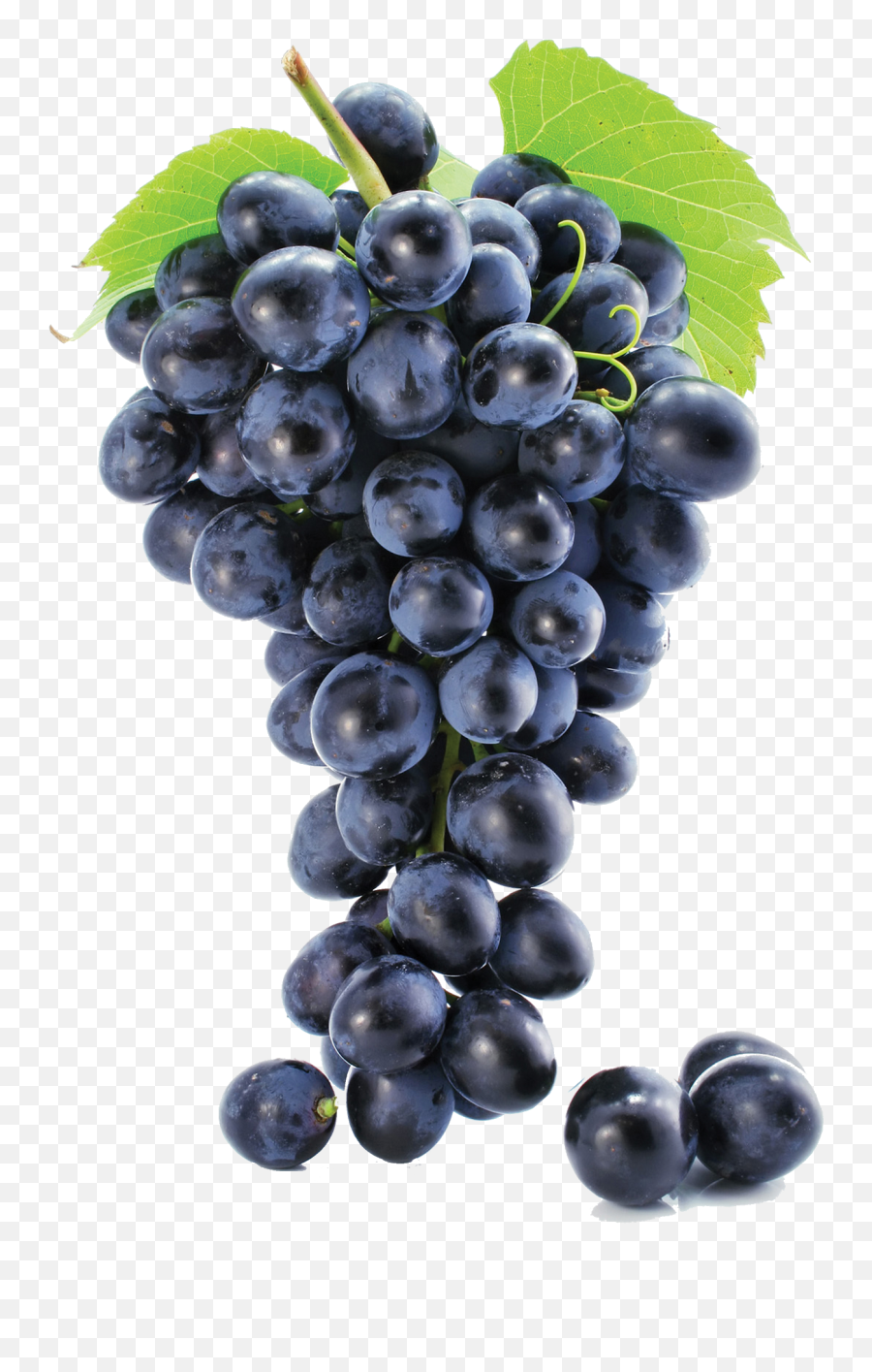 Grape Soda - Grapes Png Emoji,Grape Emoji Png