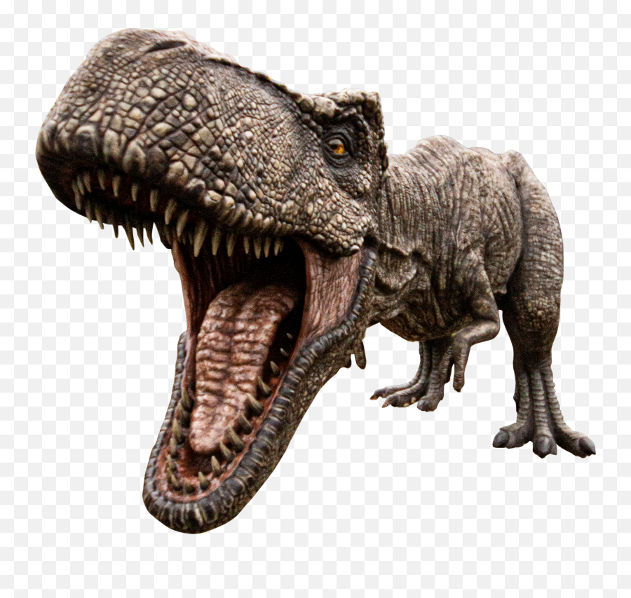 Trex Dinosaurs Dino Dinosaurier Sticker - Trex Dinosaurio Emoji,T Rex Emoji