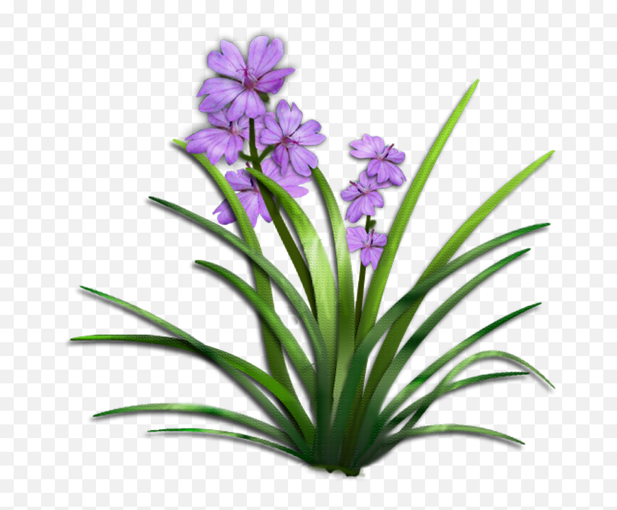 My First Storybook My Storybook - Plant With Flower Png Emoji,Tumbs Up Emoji