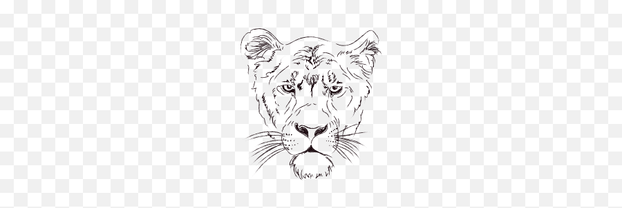 Lionesss Portrait - Siberian Tiger Emoji,Tiger Flag Emoji