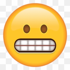Emoji Meanings And What Does This Emoji Mean - Angers Cathedral,Emojis