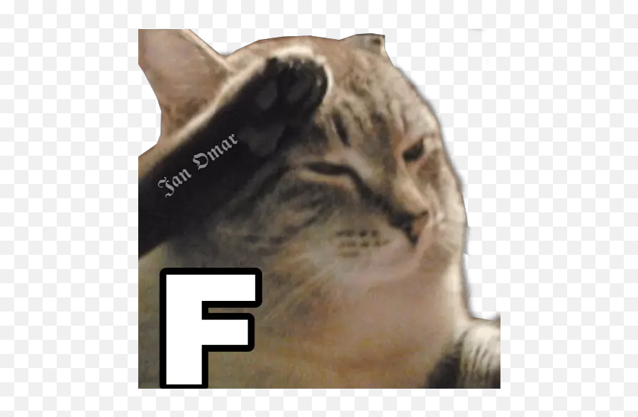 F To Pay Respect Stickers For Whatsapp - Cat Sir Yes Sir Emoji,F Emoji