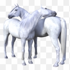 Jumpy Horse Stickers - Stallion Emoji