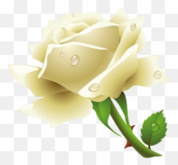 White Rose Cut Out Png - 20070 Transparentpng White Rose Image Png Emoji,White Rose Emoji