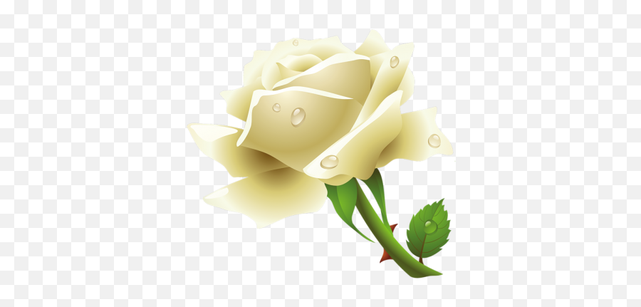 White Rose Cut Out Png - 20070 Transparentpng White Rose Image Png Emoji,White Rose Emoji