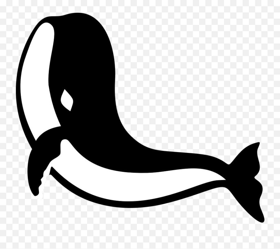 Gambar Ikan Paus Ikan Gratis - Baleia Vetor Png Emoji,Syringe Emoji